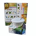 Natural Mineral Block Bird Food for Parrot Budgie Lovebird Finch - 60 Grams Pack of 4