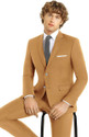 Parsh Lycra Blend Solid Suit Fabric