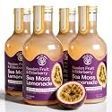 Passion Fruit Elderberry Sea Moss Electrolyte Lemonade – Exotic Drink – No Added Sugar with Sea Moss & Electrolytes – 4 x 12 fl oz Bottles