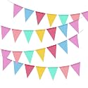 Pastel Rainbow Pennant Banner, 48 Pre-Strung Flags, 52.5 Ft