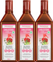 PATANJALI Cholesterol Care Juice 3 x 500