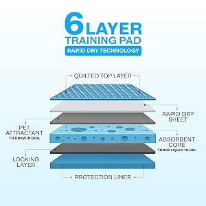 patch amp marshall pet training pads with adhesive floor tape 60x60 cm training pee amp potty pads heavy dutyrapid dry amp absorbent core suitable for puppiessmallmediumlarge dogs 60 count