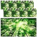 Patelai 8 Pack Fluorescent Light Covers for Classroom Ceiling 4 x 2 Feet Magnetic Light Covers Filter for Office School Drop Ceiling Supplies(Forest Style)