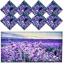 Patelai 8 Pack Fluorescent Light Covers for Classroom Ceiling 4 x 2 Feet Magnetic Light Covers Filter for Office School Drop Ceiling Supplies(Lavender)