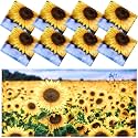 Patelai 8 Pack Fluorescent Light Covers for Classroom Ceiling 4 x 2 Feet Magnetic Light Covers Filter for Office School Drop Ceiling Supplies(Sunflower)
