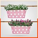 Bathla Patio ARA Hanging Metal Pot Holders/Planters for Home/Balcony/Garden |Corrosion Resistant with Detachable Double Hooks | Blush -Set of 2