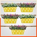 Bathla Metal Patio - ARA Hanging Pot Holders for Balcony Corrosion Resistant with Detachable Double Hooks (Yellow, Standard) Set of 5