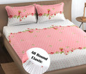 PATNOS Microfiber King Fitted (Elastic) 240 TC Abstract 1 Bedsheet with 2 Pillow Covers