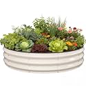 Pattiumo Galvanized Raised Garden Bed 441 FT