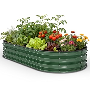 Pattiumo Galvanized Raised Garden Bed 6x3x1 FT