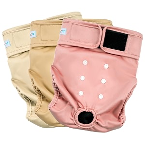Paw Legend Washable Reusable Female Dog Period