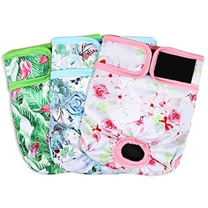 Paw Legend Washable Reusable Female Dog Period