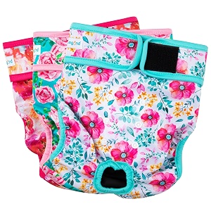 Paw Legend Washable Reusable Female Dog Period