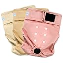 Paw Legend Washable Reusable Female Dog Period