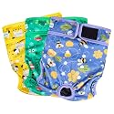 Paw Legend Washable Reusable Female Dog Period