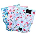 Paw Legend Washable Reusable Female Dog Period