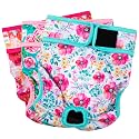 Paw Legend Washable Reusable Female Dog Period