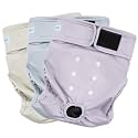 Paw Legend Washable Reusable Female Dog Period