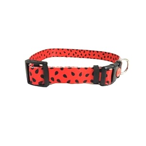 printed dog collar - small 15mm red amp black