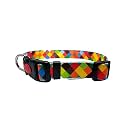 Printed Dog Collar - Small, Multicolor