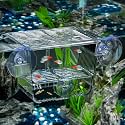 Pawfly Aquarium Breeding Box, Acrylic Fish Isolation Box with 6 Suction Cups, Aquarium Acclimation Hatchery Incubator for Baby Shrimp Betta Aggressive Fish Guppy (Small)