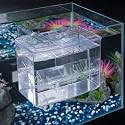 Pawfly Aquarium Breeding Box Fish Tank Hatchery Incubator Acrylic Breeder Box for Baby Fish Shrimp Betta Clownfish Small Isolation Box for Aggressive Fish Guppy