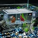 Pawfly Aquarium Fish Breeding Box, Fish Tank Hatchery Incubator with 6 Suction Cups Acrylic Hatching Box for Baby Fish Shrimp Betta Medium Acclimation Isolation Box