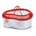 PAWING Medium Acrylic Turtle Tank: Stylish, Portable Reptile Habitat with Climbing Platform and Self-Watering Feature (Multicolour)