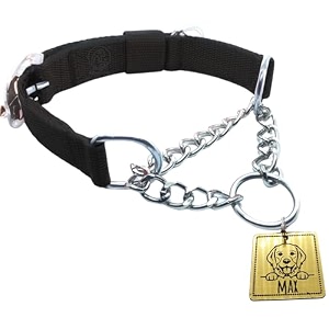 pawpro black dog chain belt collar with customized square name tag id personalized dog name breed dog collar m