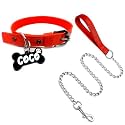 PAWPRO Personalized Dog Collar and Leash Set with Custom Bone Name Tag – Adjustable Nylon Belt for Small, Medium & Large Dogs, Durable Chain Leash for Safe Walks (Red, Medium)
