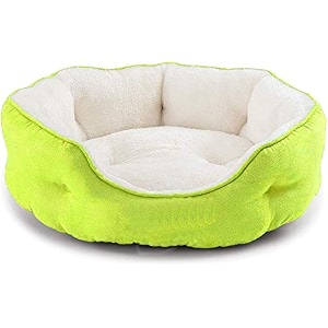 pawsome round cat bed for indoor cats clearance washable dog bed for puppy and kitties with slip-resistant bottom plush flannel pet supplies xxl green