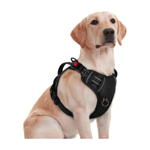 Pawxie Dog Chest Belt Harness Comfortable