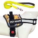 Customized Dog Harness with Leash | Dog Belt Harness with Name | Personalized Dog Vest Harness, Adjustable Size (XL, Minion, for 35+ Kilograms Dogs)