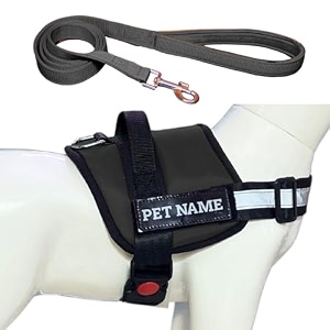 customized dog harness and leash with name  comfortable and adjustable puppy harness for 5-13 kilograms dogs s black