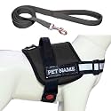 Customized Dog Harness and Leash with Name | Comfortable and Adjustable Puppy Harness for 5-13 Kilograms Dogs (S, Black)