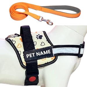 customized dog harness with leash  dog harness with name  personalized dog vest harness no pull adjustable shihtzu dog belt xs white-paw for 2-5 kilograms dogs