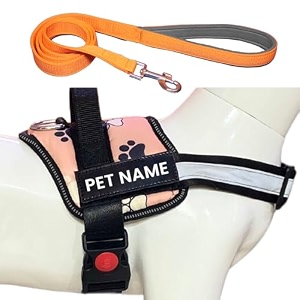 customized dog harness with leash  dog harness with name  personalized dog vest harness no pull adjustable xs pink for 2-5 kilograms dogs
