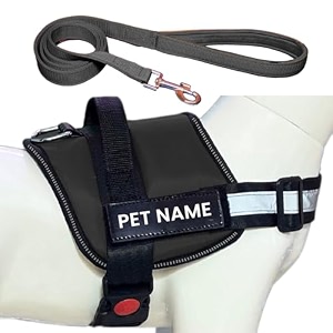 personalized dog vest harness and leash with name  custom dog vest harness for shihtzu dogs xs black