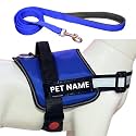 Customized Dog Harness with Leash | Dog Harness with Name | Personalized Dog Vest Harness, No Pull, Adjustable (XS, Blue, for 2-5 Kilograms Dogs)
