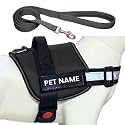 Personalized Dog Vest Harness and Leash with Name | Custom Dog Vest Harness for Shihtzu Dogs (XS, Black)