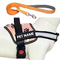 Customized Dog Harness with Leash | Dog Harness with Name | Personalized Dog Vest Harness, No Pull, Adjustable (XL, Pink, for 35+ Kilograms Dogs)