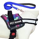 Customized Dog Harness and Leash with Name | Dog Belt for Large Dogs, No Pull, Adjustable (L, Blue-Diamond, for 24-35 Kilograms Dogs)