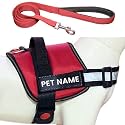 Customized Dog Harness with Leash | Dog Harness with Name | Personalized Dog Vest Harness, No Pull, Adjustable (L, Red, for 24-35K Kilograms Dogs)