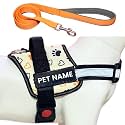 Customized Dog Harness with Leash | Dog Harness with Name | Personalized Dog Vest Harness, No Pull, Adjustable (L, White-Paw, for 24-35 Kilograms Dogs)