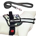 Customized Dog Harness with Leash | Dog Harness with Name | Personalized Dog Vest Harness, No Pull, Adjustable (S, Blue-3D, for 5-13 Kilograms Dogs)