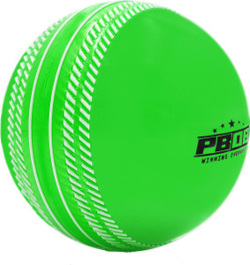 pb08 winning everyday synthetic cricket wind ball green color cricket ball - 110g cricket synthetic ball standard pack of 1 green