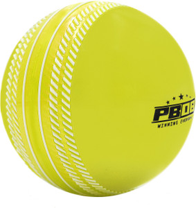 pb08 winning everyday synthetic cricket wind ball yellow color cricket ball - 110g cricket synthetic ball standard pack of 1 yellow