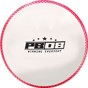 pb08 winning everyday synthetic cricket wind ball white color cricket ball - 110g cricket synthetic ball standard pack of 1 white