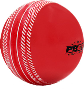 pb08 winning everyday synthetic cricket wind ball red color cricket ball - 110g cricket synthetic ball standard pack of 1 red