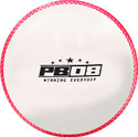 PB08 WINNING EVERYDAY Synthetic Cricket Wind Ball White Color Cricket Ball - 110g Cricket Synthetic Ball (Standard, Pack of 1, White)